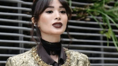 Heart Evangelista Net Worth
