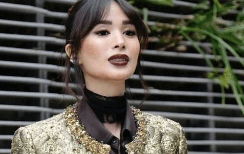 Heart Evangelista Net Worth