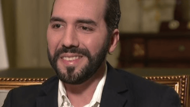 Nayib Bukele Net Worth