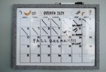 call behavior comparison analysis