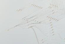 call connections area visualization