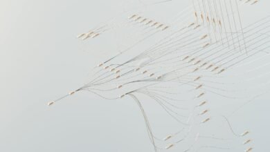 call connections area visualization
