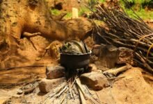 mobile vs landline usage