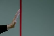 caller verification operations division