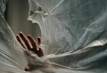 caller watchdog transparency committee